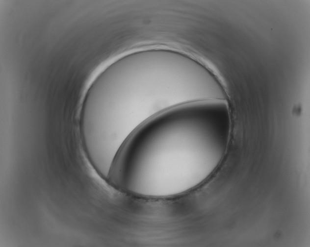 X0000093131516200709261024