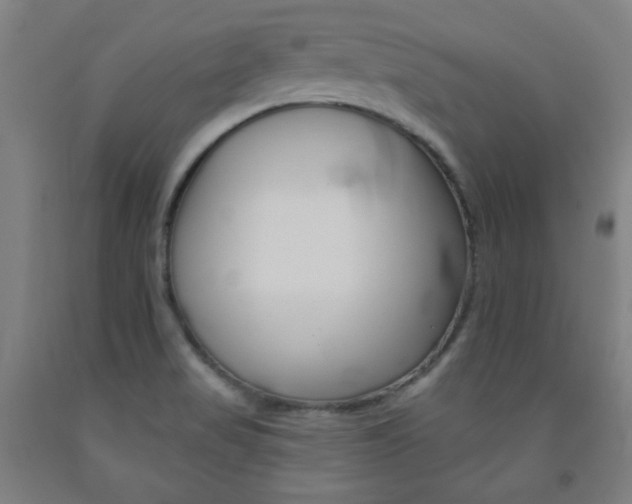 X0000093131517200709261024