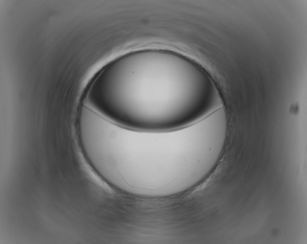 X0000093131518200709261024