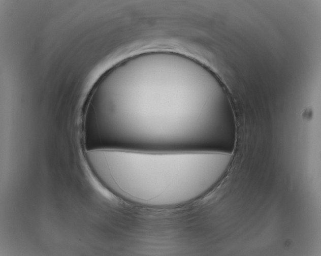 X0000093131519200709261024