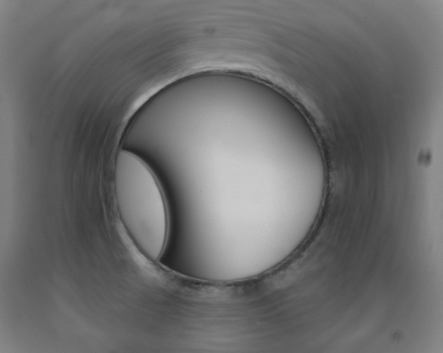 X0000093131521200709261024