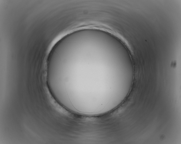 X0000093131522200709261024