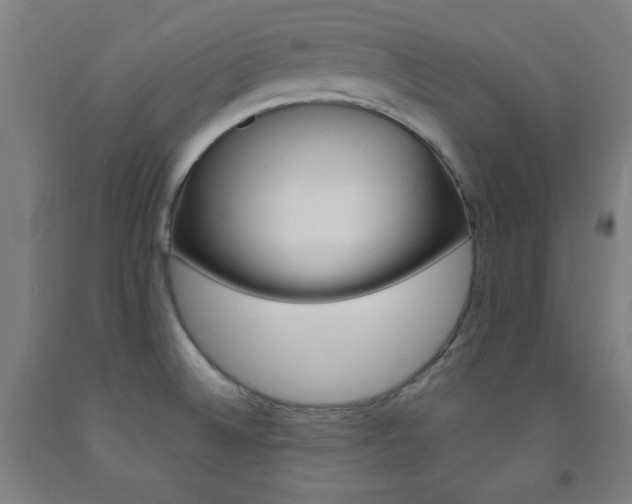 X0000093131524200709261024