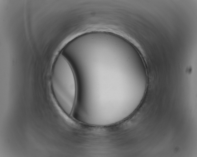 X0000093131525200709261024