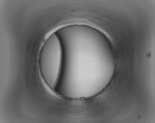 X0000093131526200709261024