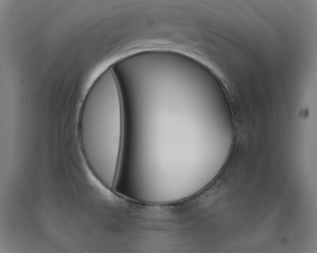 X0000093131527200709261024