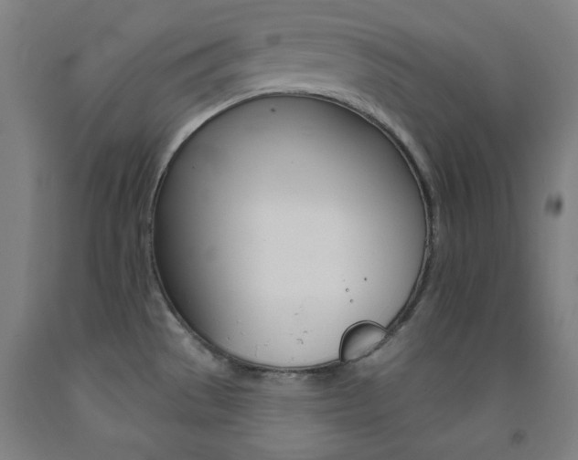 X0000093131529200709261024