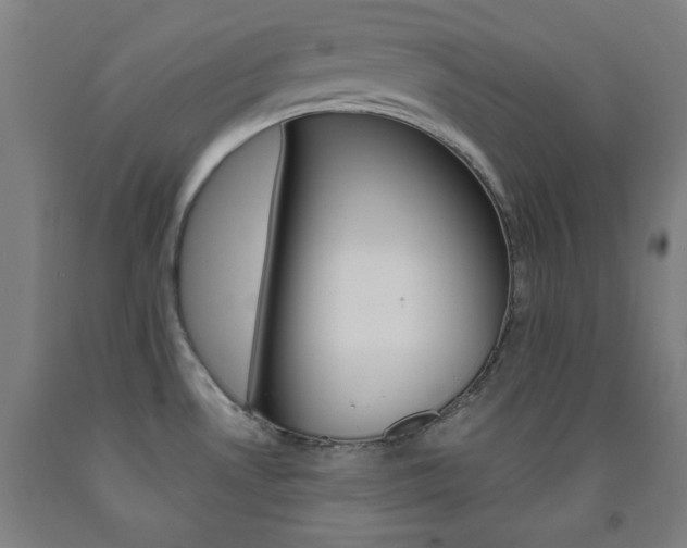 X0000093131530200709261024