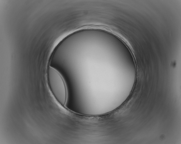 X0000093131533200709261024