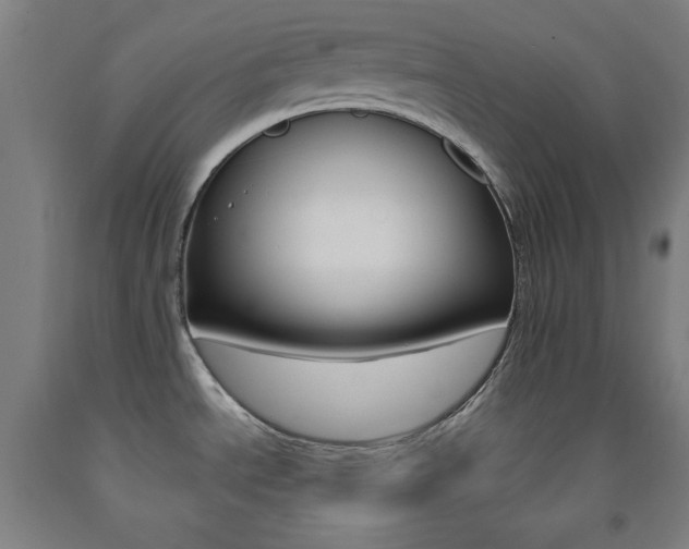 X0000093131534200709261024