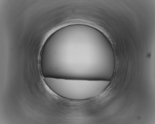 X0000093131535200709261024