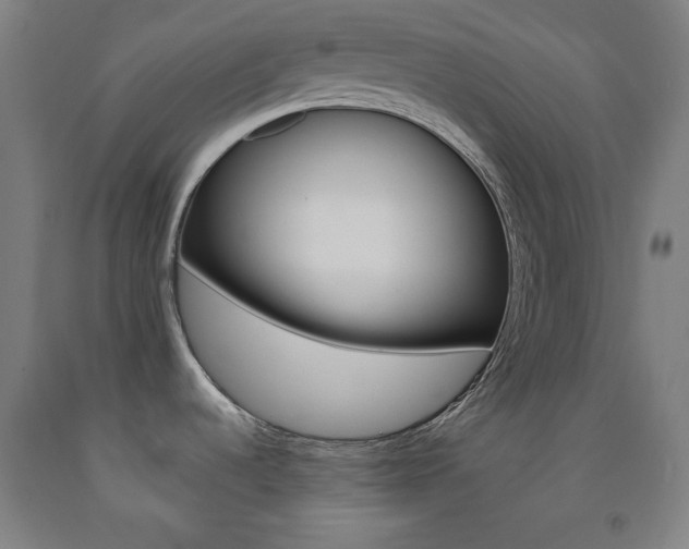 X0000093131536200709261024