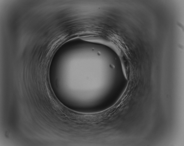 X0000093130001200709261357
