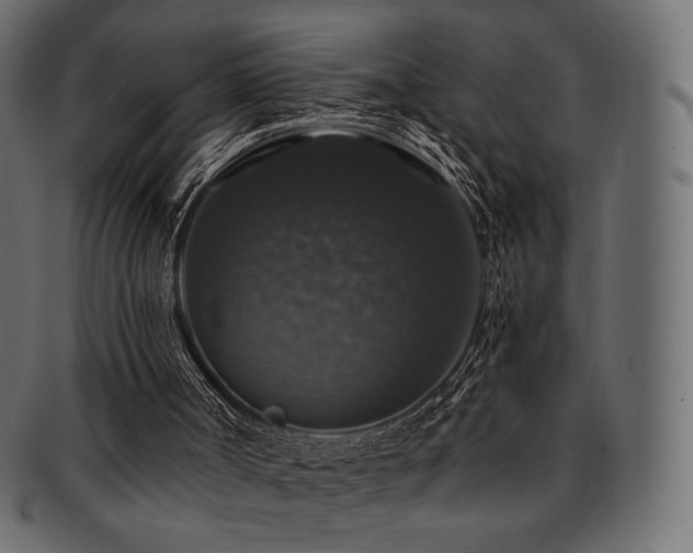 X0000093130002200709261357