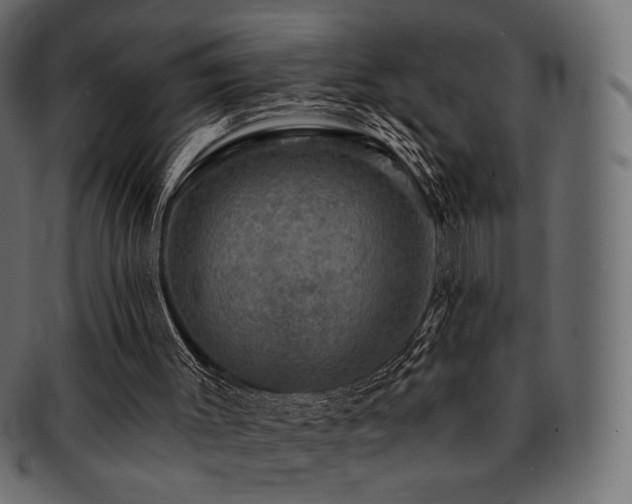 X0000093130003200709261357