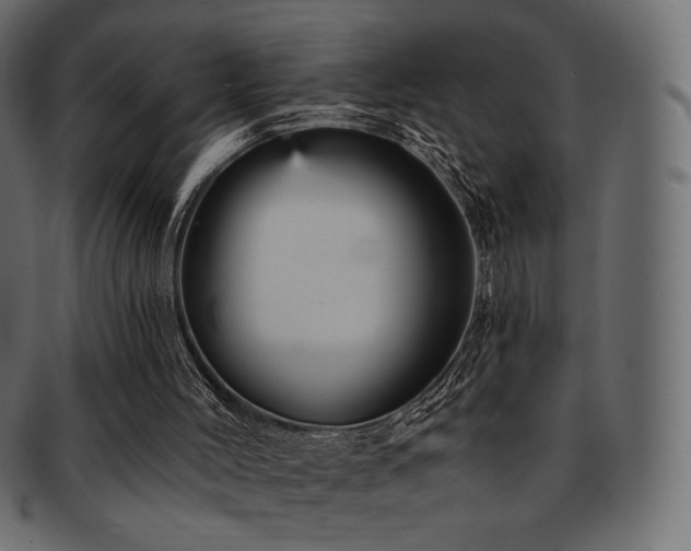 X0000093130004200709261357