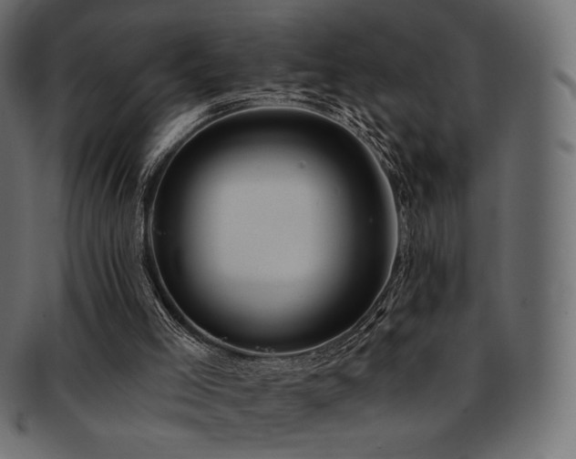 X0000093130005200709261357