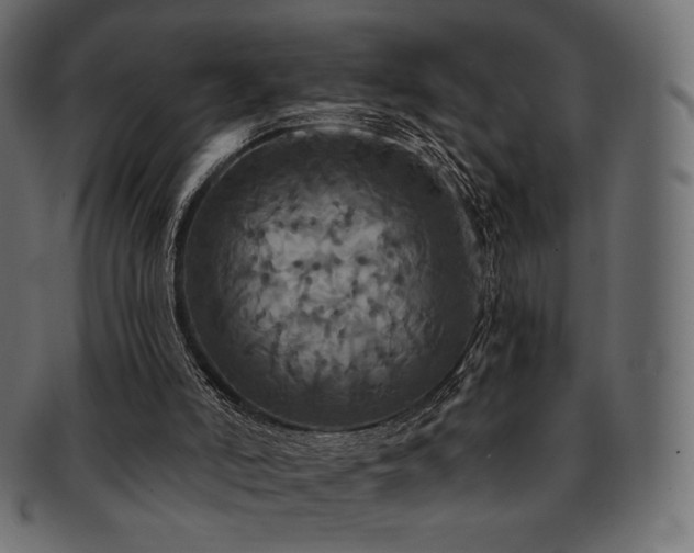 X0000093130006200709261357