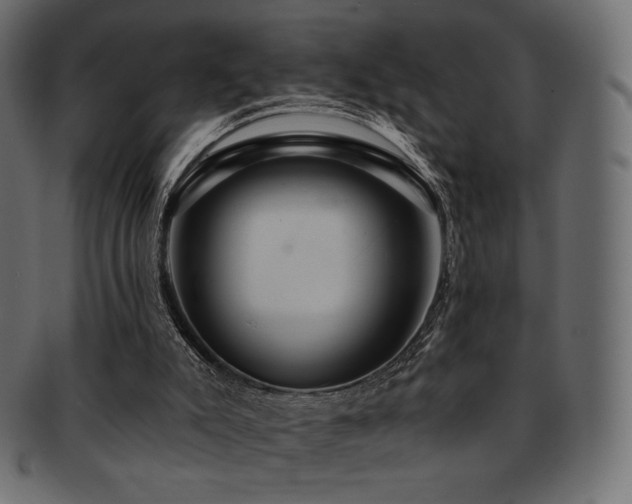 X0000093130007200709261357