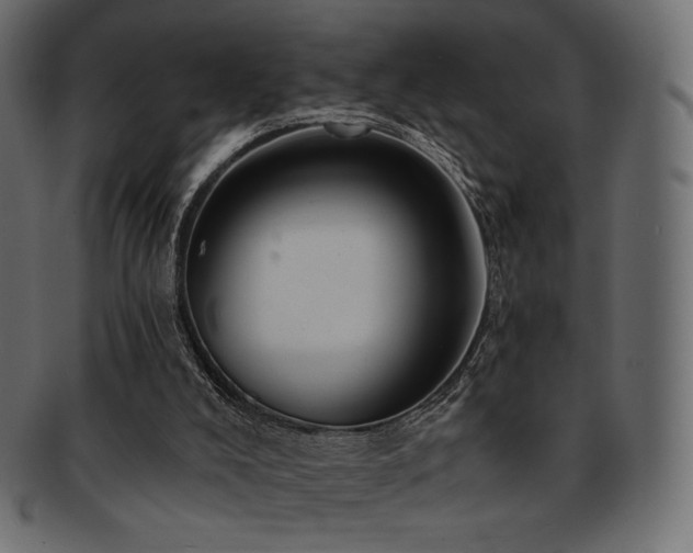 X0000093130008200709261357