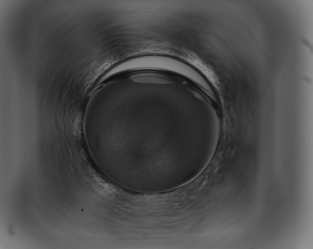X0000093130009200709261357