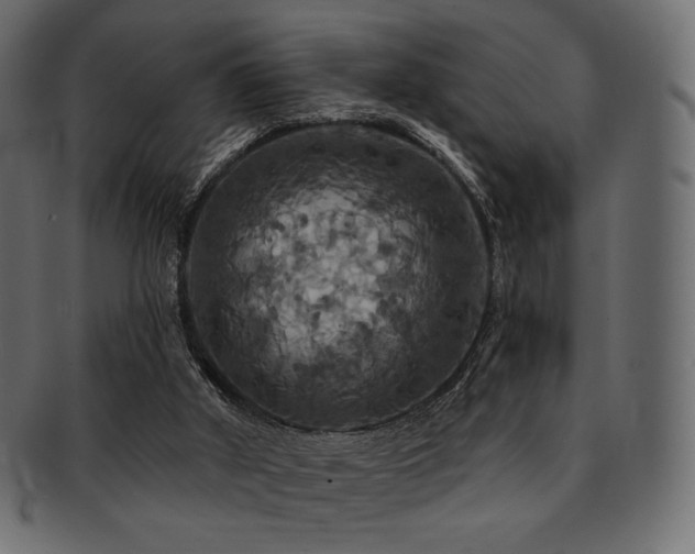 X0000093130010200709261357