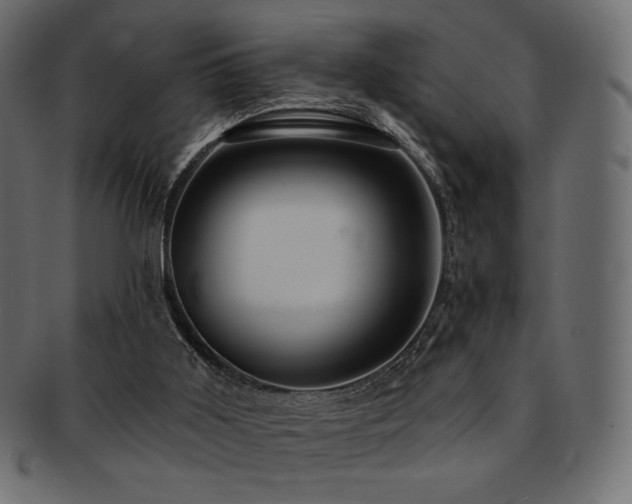 X0000093130011200709261357