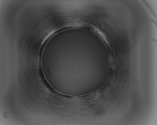 X0000093130012200709261357