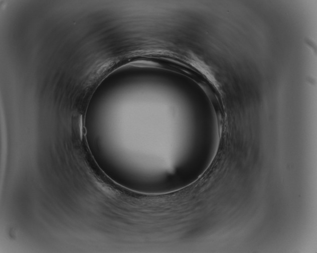 X0000093130013200709261357