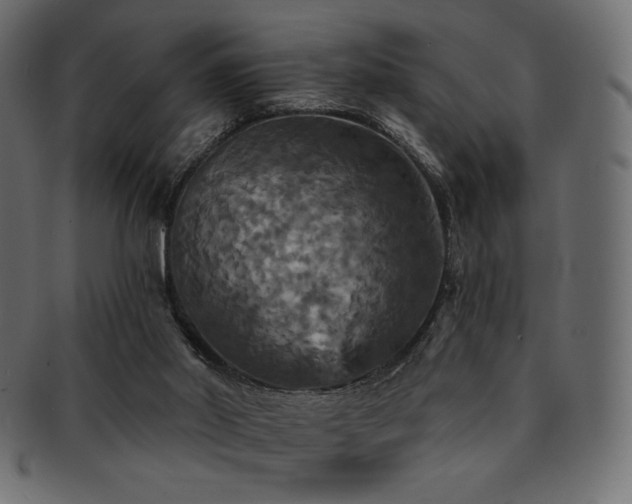 X0000093130014200709261357