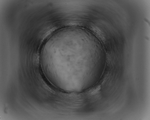 X0000093130016200709261357