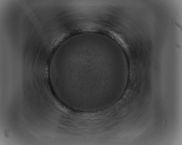 X0000093130017200709261357