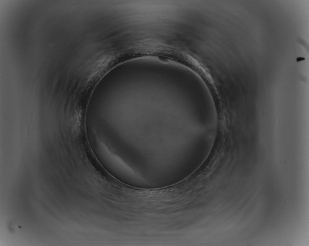 X0000093130018200709261357
