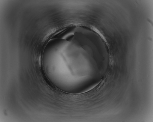 X0000093130019200709261357