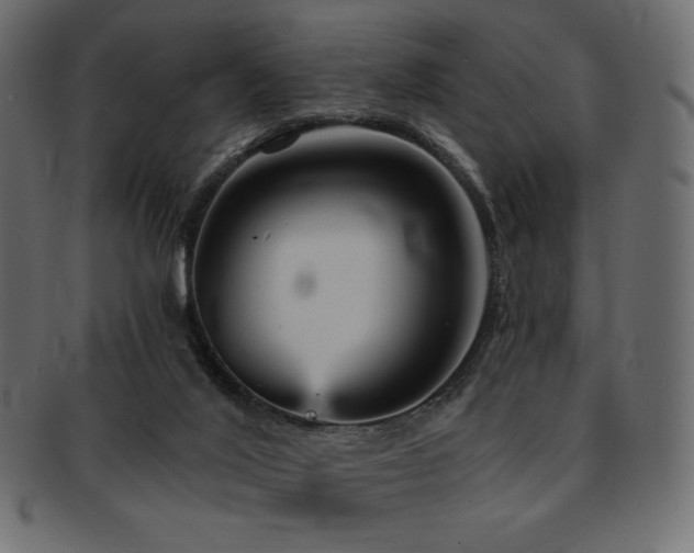 X0000093130020200709261357