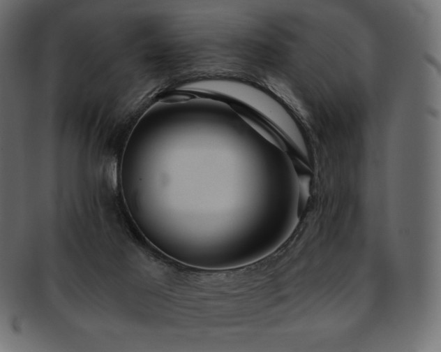 X0000093130021200709261357