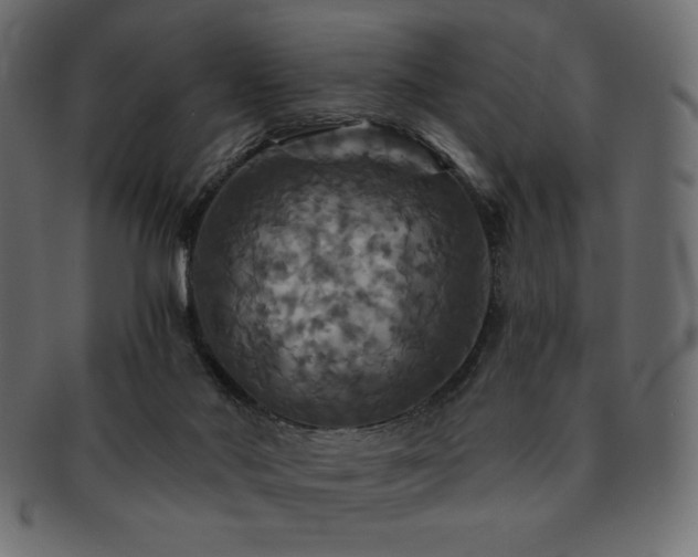 X0000093130022200709261357