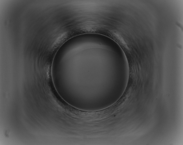X0000093130023200709261357