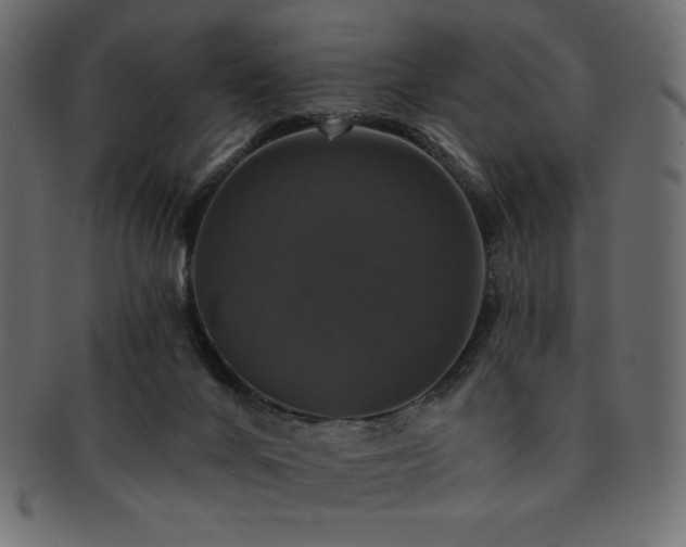 X0000093130024200709261357