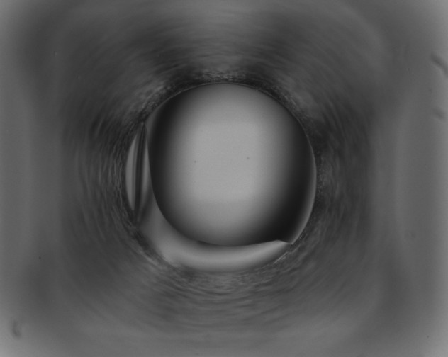 X0000093130025200709261357