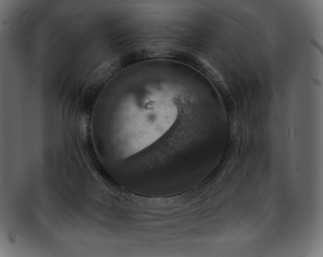 X0000093130026200709261357