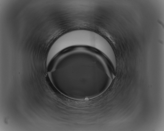 X0000093130027200709261357