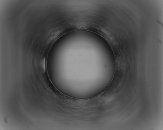 X0000093130028200709261357