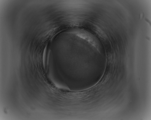 X0000093130029200709261357