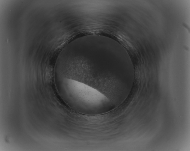 X0000093130030200709261357
