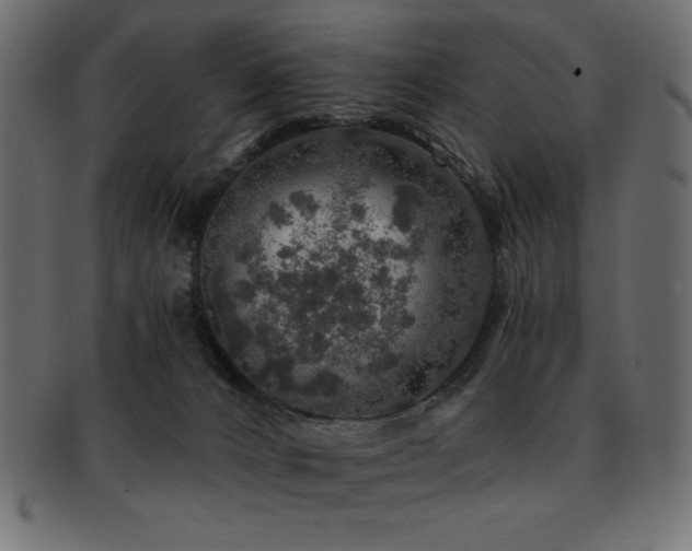 X0000093130032200709261357