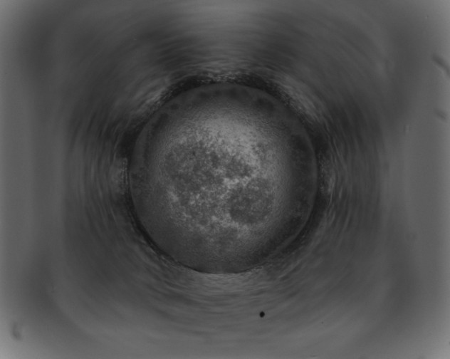 X0000093130034200709261357