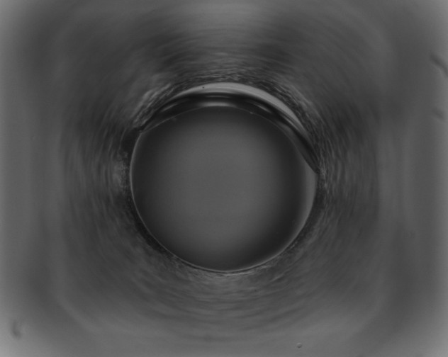 X0000093130035200709261357