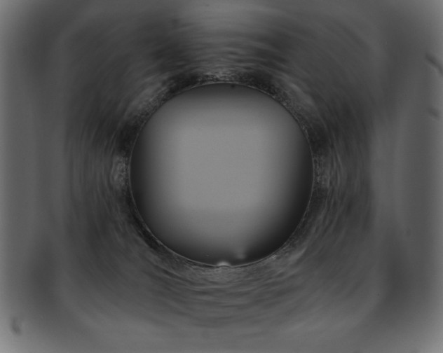X0000093130036200709261357