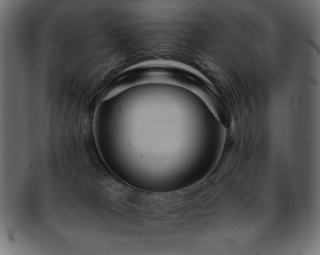 X0000093130037200709261357